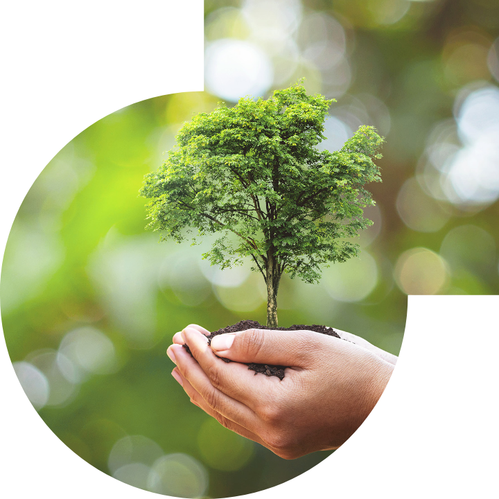 关怀人类、文化、环境与社会